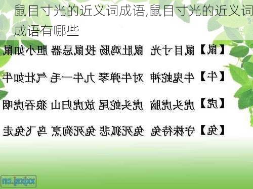 鼠目寸光的近义词成语,鼠目寸光的近义词成语有哪些