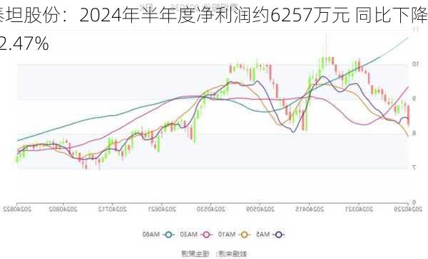 泰坦股份：2024年半年度净利润约6257万元 同比下降12.47%