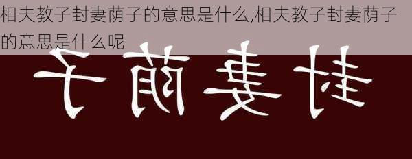 相夫教子封妻荫子的意思是什么,相夫教子封妻荫子的意思是什么呢