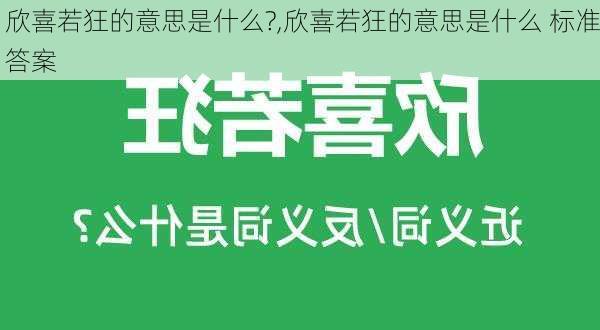 欣喜若狂的意思是什么?,欣喜若狂的意思是什么 标准答案