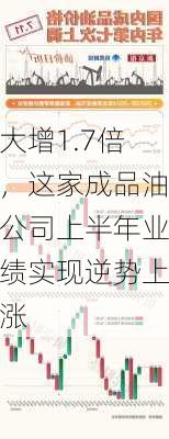 大增1.7倍，这家成品油公司上半年业绩实现逆势上涨