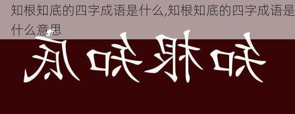 知根知底的四字成语是什么,知根知底的四字成语是什么意思