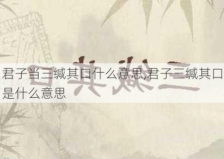 君子当三缄其口什么意思,君子三缄其口是什么意思