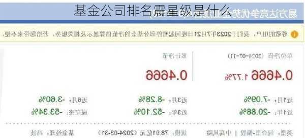 基金公司排名震星级是什么