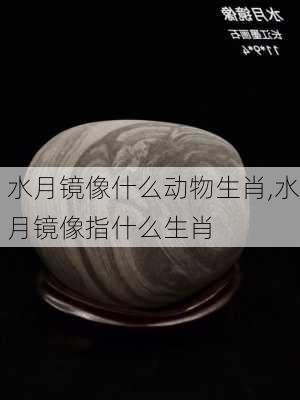 水月镜像什么动物生肖,水月镜像指什么生肖