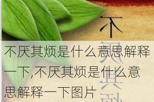 不厌其烦是什么意思解释一下,不厌其烦是什么意思解释一下图片