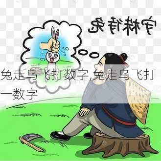 兔走乌飞打数字,兔走乌飞打一数字