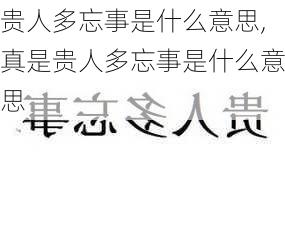 贵人多忘事是什么意思,真是贵人多忘事是什么意思