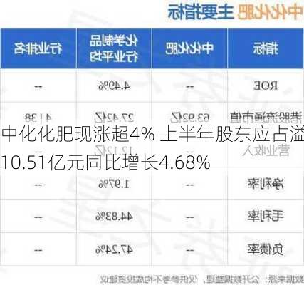 中化化肥现涨超4% 上半年股东应占溢利10.51亿元同比增长4.68%