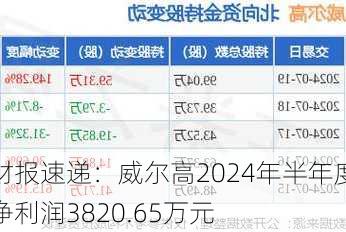 财报速递：威尔高2024年半年度净利润3820.65万元