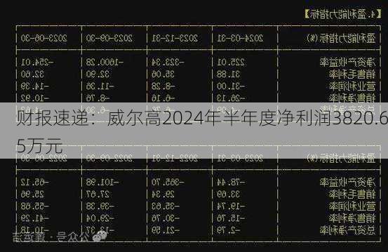 财报速递：威尔高2024年半年度净利润3820.65万元