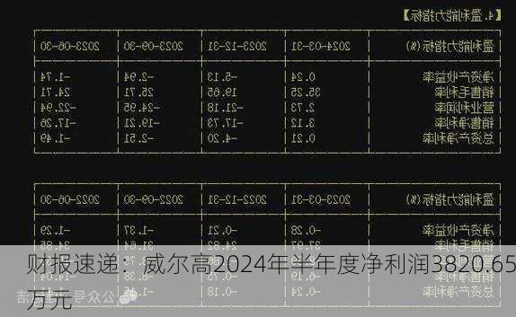 财报速递：威尔高2024年半年度净利润3820.65万元