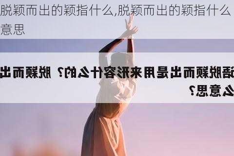 脱颖而出的颖指什么,脱颖而出的颖指什么意思