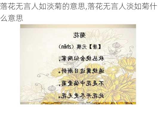 落花无言人如淡菊的意思,落花无言人淡如菊什么意思