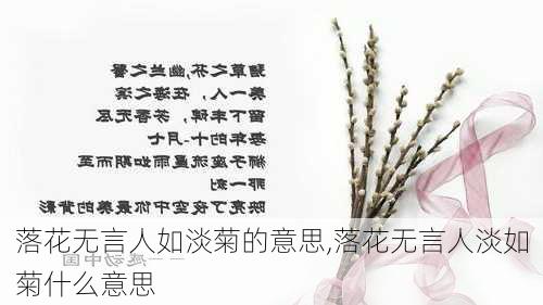 落花无言人如淡菊的意思,落花无言人淡如菊什么意思