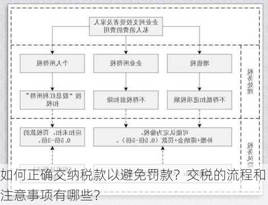 如何正确交纳税款以避免罚款？交税的流程和注意事项有哪些？