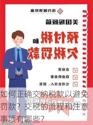 如何正确交纳税款以避免罚款？交税的流程和注意事项有哪些？