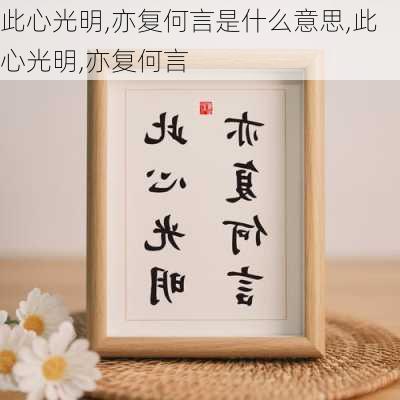 此心光明,亦复何言是什么意思,此心光明,亦复何言