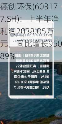 德创环保(603177.SH)：上半年净利润2038.05万元，同比增长950.89%