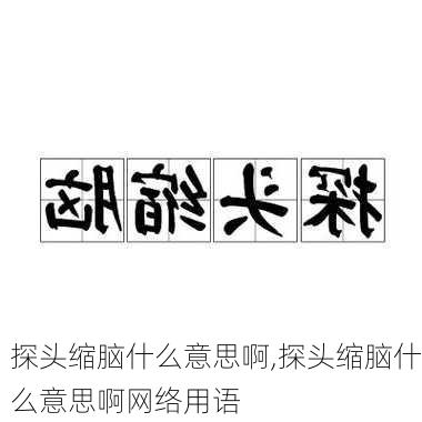 探头缩脑什么意思啊,探头缩脑什么意思啊网络用语