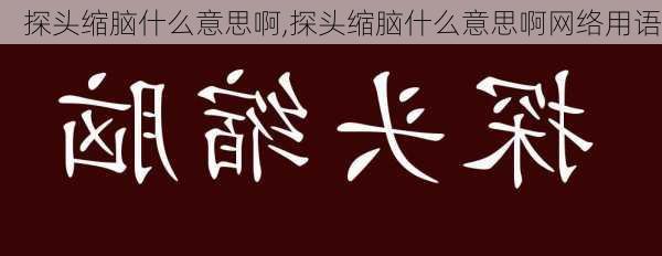 探头缩脑什么意思啊,探头缩脑什么意思啊网络用语