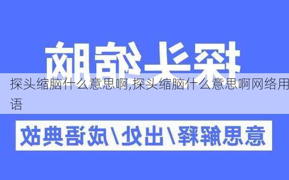 探头缩脑什么意思啊,探头缩脑什么意思啊网络用语