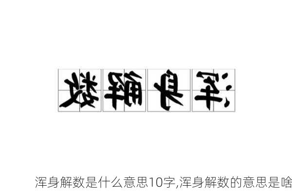 浑身解数是什么意思10字,浑身解数的意思是啥