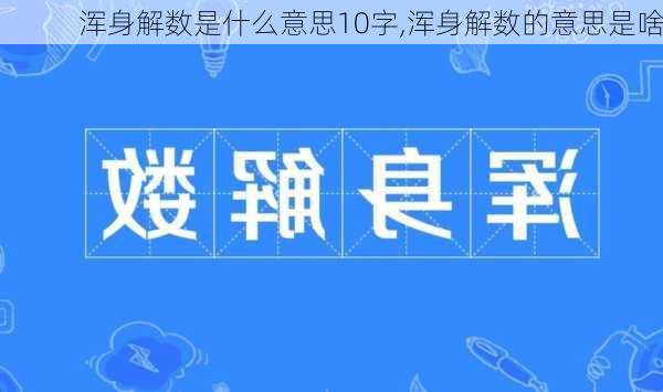 浑身解数是什么意思10字,浑身解数的意思是啥