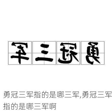 勇冠三军指的是哪三军,勇冠三军指的是哪三军啊