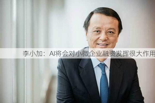 李小加：AI将会对小微企业融资发挥很大作用