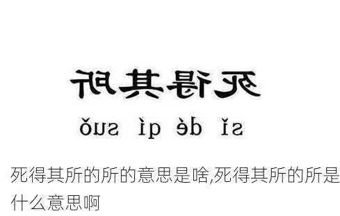 死得其所的所的意思是啥,死得其所的所是什么意思啊