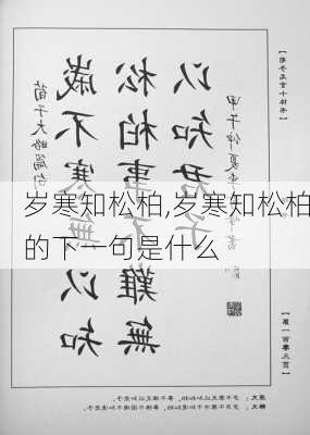 岁寒知松柏,岁寒知松柏的下一句是什么