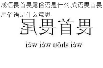 成语畏首畏尾俗语是什么,成语畏首畏尾俗语是什么意思