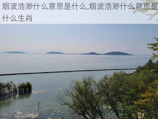 烟波浩渺什么意思是什么,烟波浩渺什么意思是什么生肖