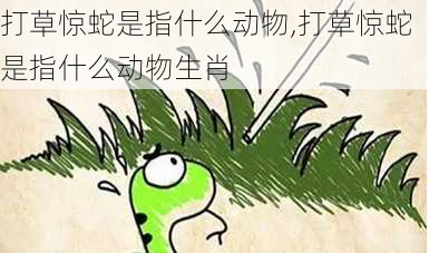 打草惊蛇是指什么动物,打草惊蛇是指什么动物生肖