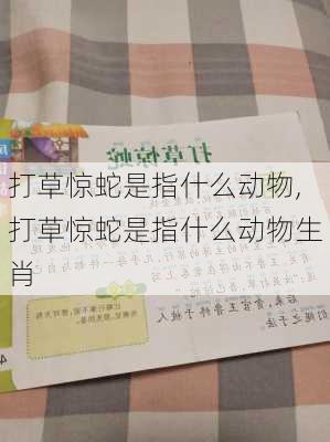 打草惊蛇是指什么动物,打草惊蛇是指什么动物生肖