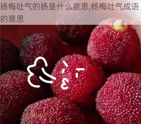 扬梅吐气的扬是什么意思,杨梅吐气成语的意思