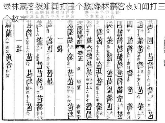 绿林豪客夜知闻打三个数,绿林豪客夜知闻打三个数字