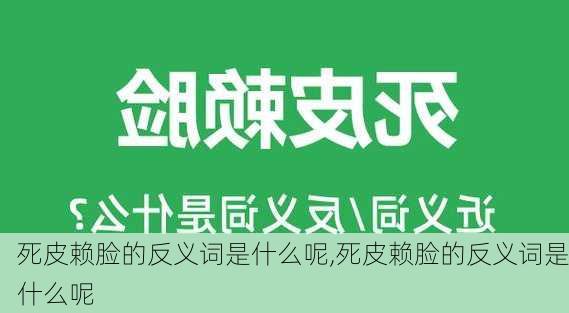 死皮赖脸的反义词是什么呢,死皮赖脸的反义词是什么呢