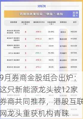 9月券商金股组合出炉：这只新能源龙头被12家券商共同推荐，港股互联网龙头重获机构青睐