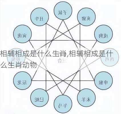 相辅相成是什么生肖,相辅相成是什么生肖动物