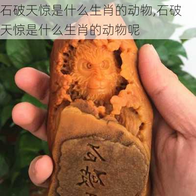 石破天惊是什么生肖的动物,石破天惊是什么生肖的动物呢