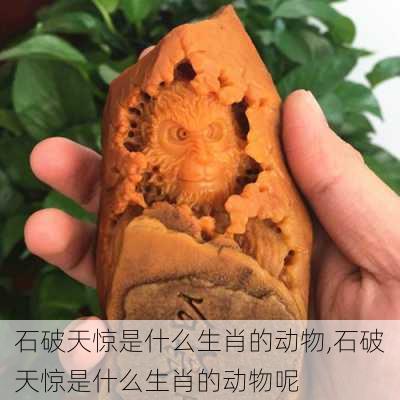 石破天惊是什么生肖的动物,石破天惊是什么生肖的动物呢