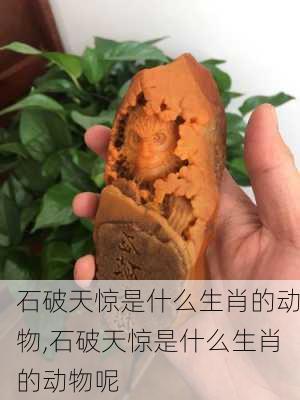 石破天惊是什么生肖的动物,石破天惊是什么生肖的动物呢