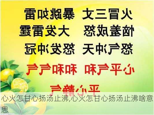 心火怎甘心扬汤止沸,心火怎甘心扬汤止沸啥意思