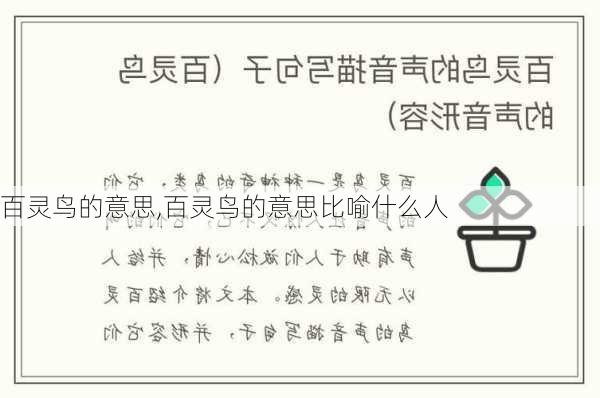 百灵鸟的意思,百灵鸟的意思比喻什么人