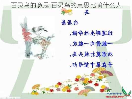 百灵鸟的意思,百灵鸟的意思比喻什么人