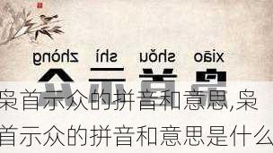 枭首示众的拼音和意思,枭首示众的拼音和意思是什么