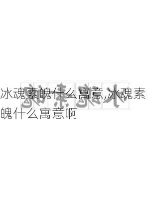 冰魂素魄什么寓意,冰魂素魄什么寓意啊