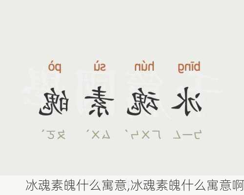 冰魂素魄什么寓意,冰魂素魄什么寓意啊